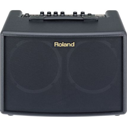 Amplificador Roland AC-60