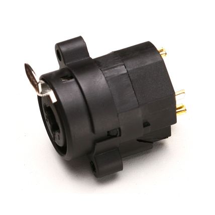 Pino Santo Angelo Combo XLR e P10