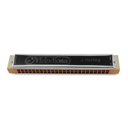 Gaita Hering Medosiosa 383/48 A