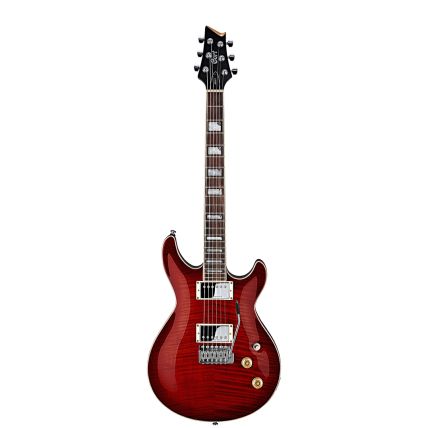 Guitarra Cort M600 T
