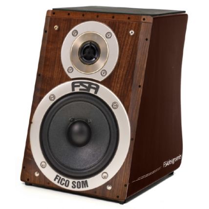 Cajon FSA Design Speaker