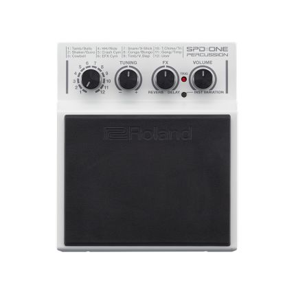 Modulo Roland SPD One