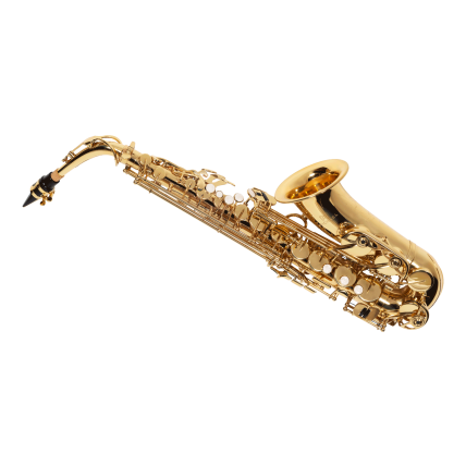 Sax Alto Michael WASM30N