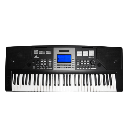 Teclado Pegasus P222 Preto Arranjador Eletronico 61 Teclas