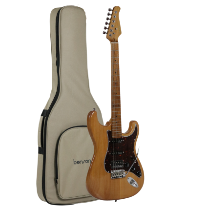 Guitarra Benson Stratocaster Hardy Series HSS 902
