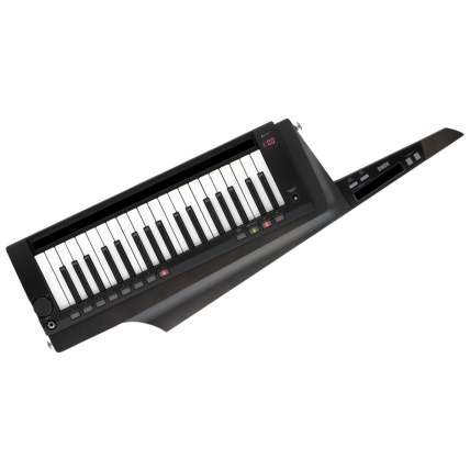 Teclado Korg RK 100S-2-BK Sintetizador